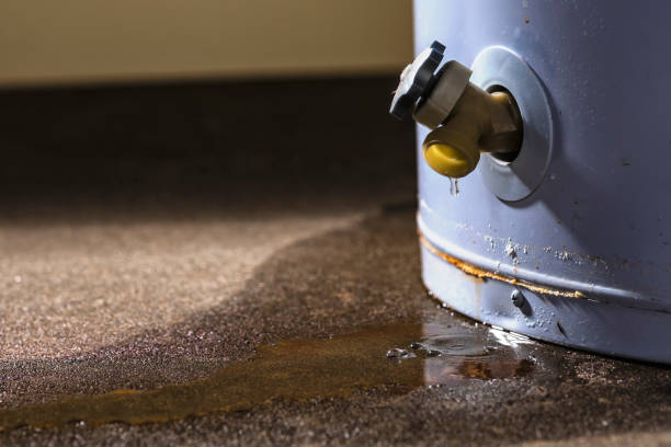 Best Fire Damage Restoration  in Highland Park, IL
