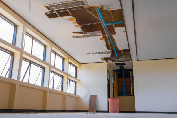 Best Water damage restoration near me  in Highland Park, IL