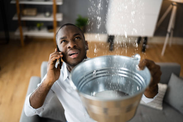  Highland Park, IL Water damage restoration Pros