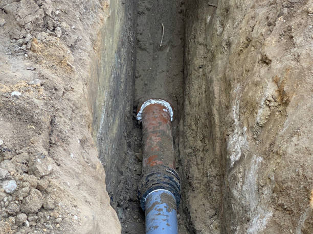 Best Sewage cleanup and water damage restoration  in Highland Park, IL