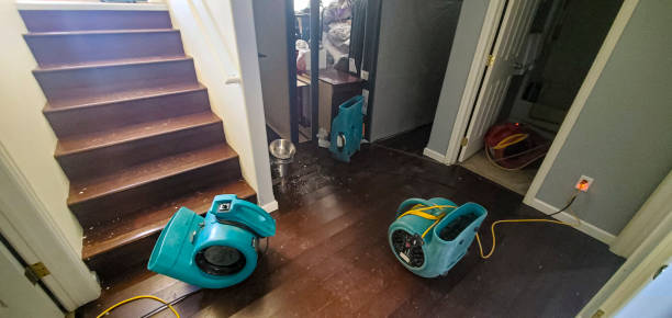 Best Emergency water damage restoration  in Highland Park, IL