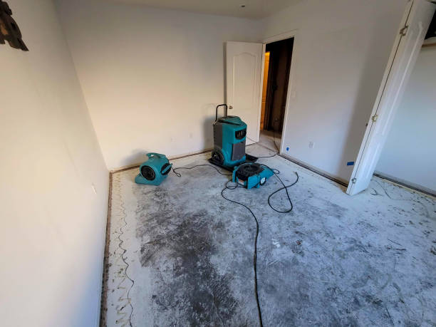  Highland Park, IL Water damage restoration Pros