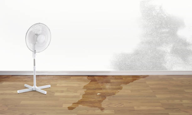 Best Water damage cleanup near me  in Highland Park, IL