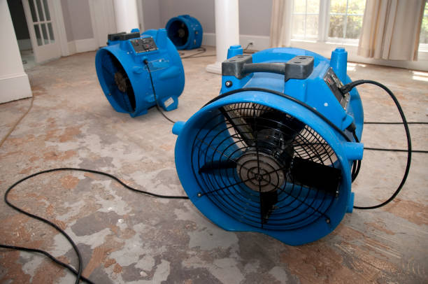 Best 24/7 water damage repair  in Highland Park, IL