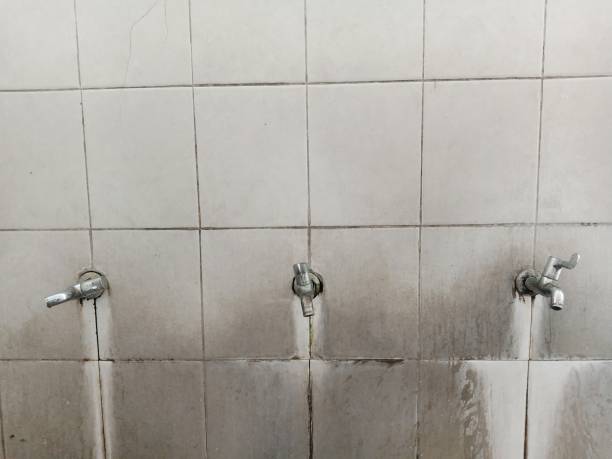 Best Fire Damage Restoration  in Highland Park, IL