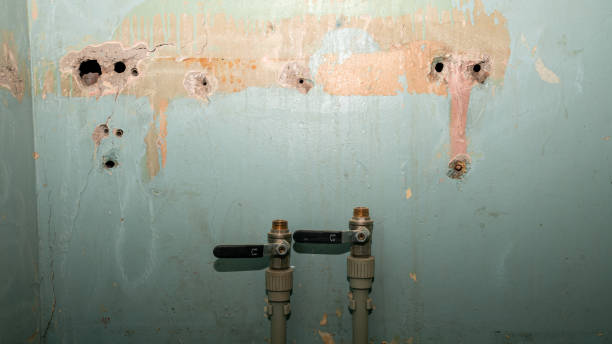 Highland Park, IL Water damage restoration Company