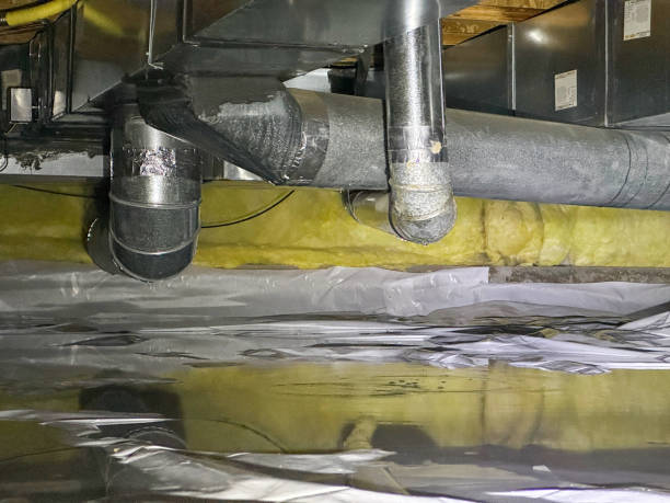 Best Water damage cleanup near me  in Highland Park, IL