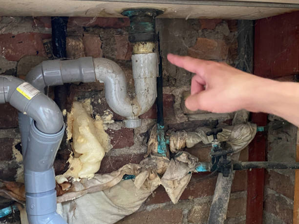Best Residential water damage restoration  in Highland Park, IL