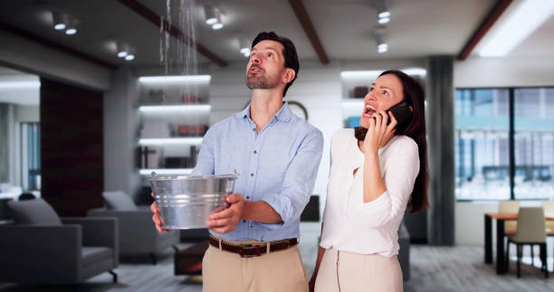 Best Professional water damage repair  in Highland Park, IL